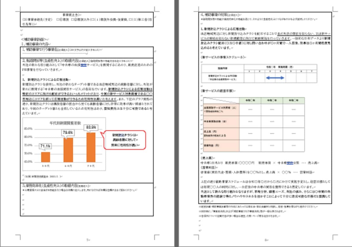 自動車販売店2★持続化補助金採択書類をお譲りします 採択済みの事業計画書を【テンプレート】としても利用できます！ イメージ5