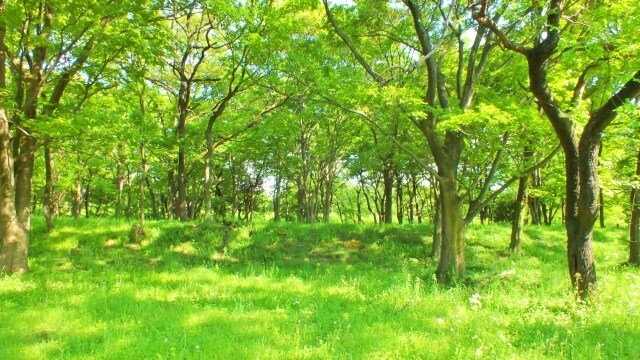 心ほっこり♨️頑張るあなたの味方になります お試しもOK♡お悩み相談/弱音/優しくされたい人おいで♡ イメージ6
