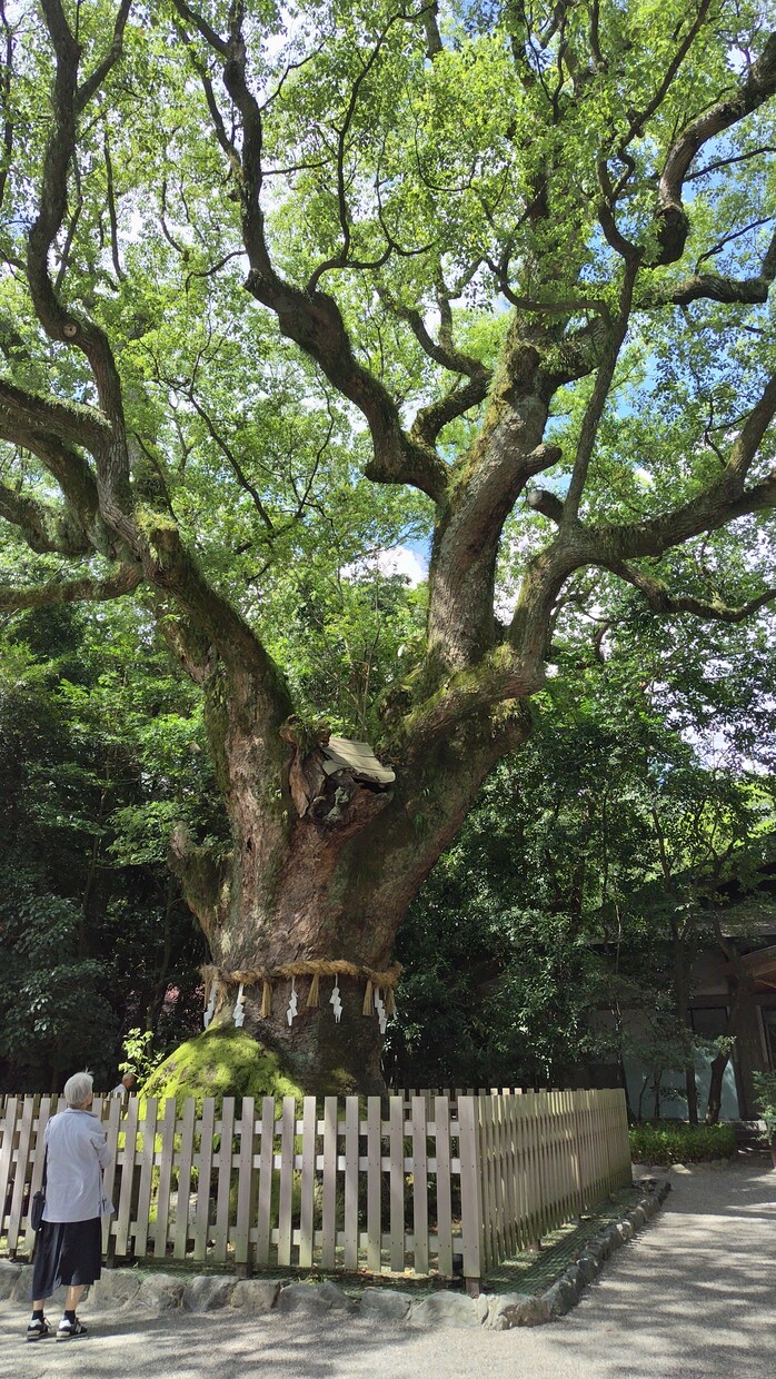 社内恋愛結婚をした私がお話聞きます 一緒に幸せになりましょう❣️私が優しく寄り添います イメージ2