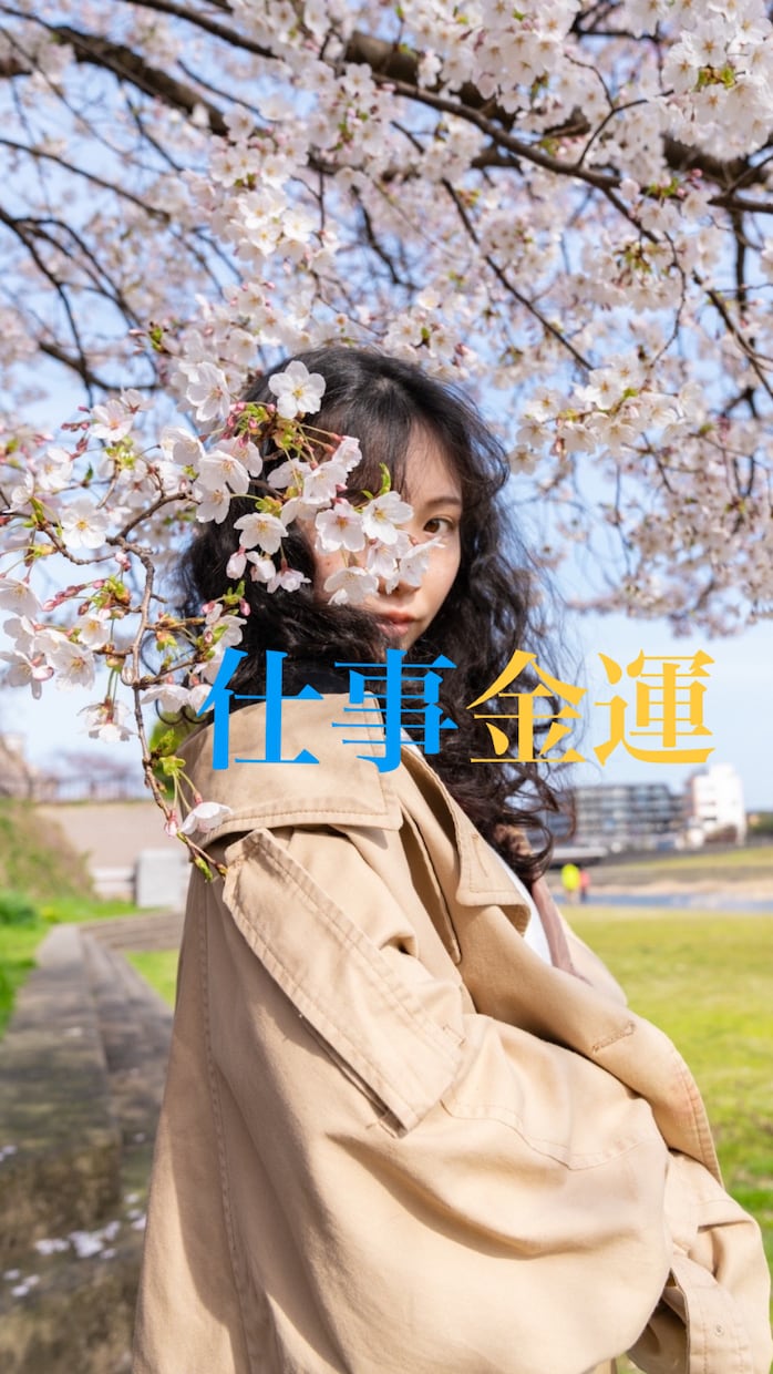 仕事金運　今の貴方に必要なメッセージ送ります 透視×命術　リピーター様の8割が主婦、OLさんです。 イメージ1