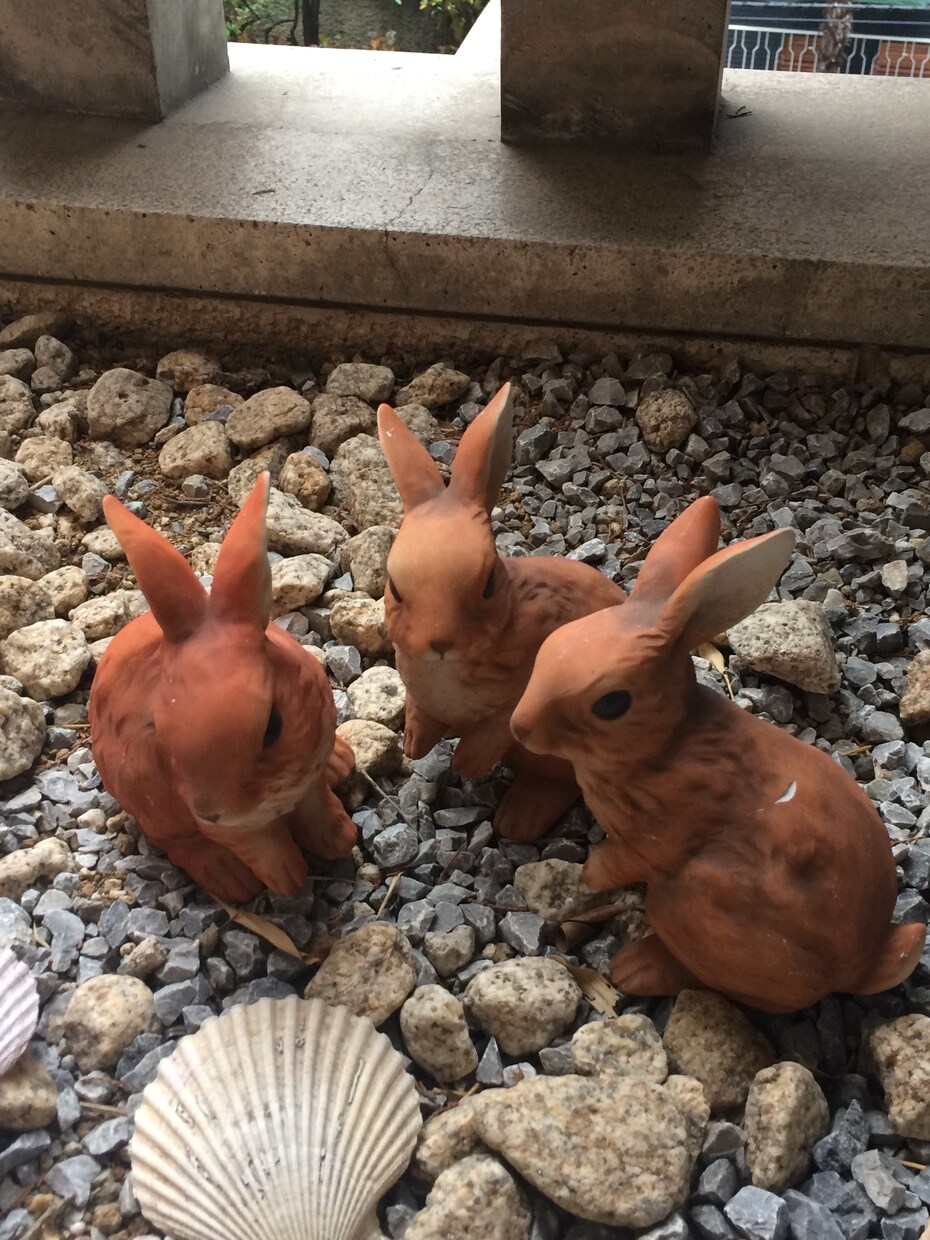 お話ししましょ！優しくあなたに寄り添います どんなお話しでも秘密厳守でお聞きします。 イメージ7