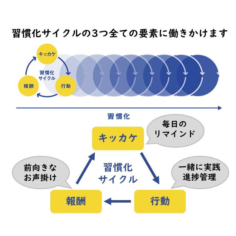 運動の習慣化！ただの応援でなく”一緒に”やります 【習慣化は仲間が9割】２週間から　運動不足解消し健康に イメージ5
