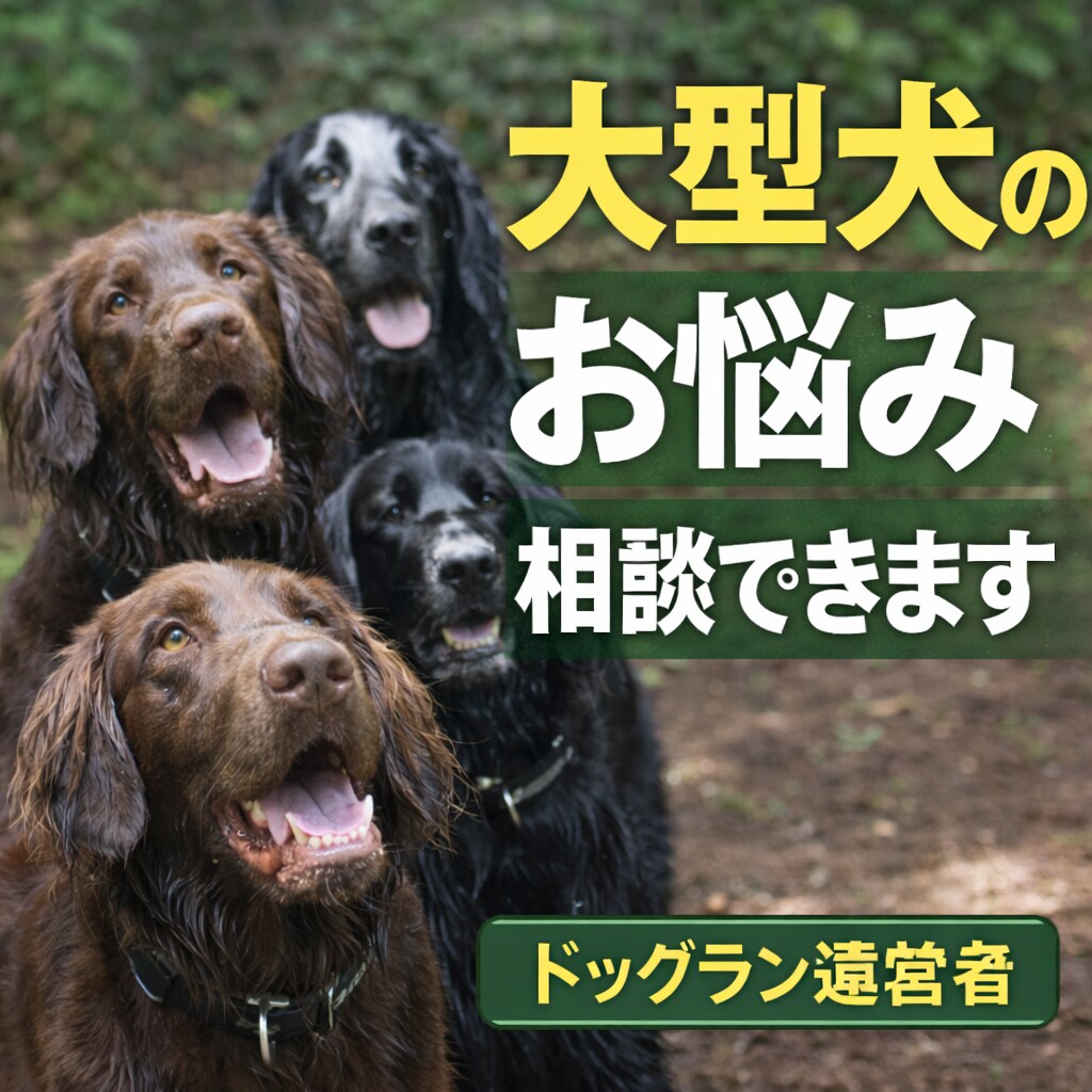 ドッグラン運営者が大型犬の飼育相談に乗ります 大型犬の心身・体幹強化や飼育面のお悩み相談出来ます イメージ1