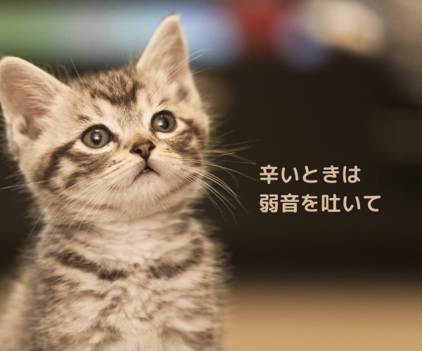 アダルトチルドレン＊あなたの辛い過去をお聞きします あなたは悪くない/前を向いて一歩踏み出すために過去を昇華☆ イメージ2