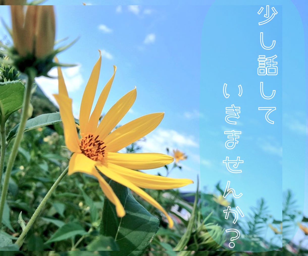 弱音を吐けない方、しっかり聞いて受け止めます 沢山話してスッキリしたい人どうぞ！ イメージ1