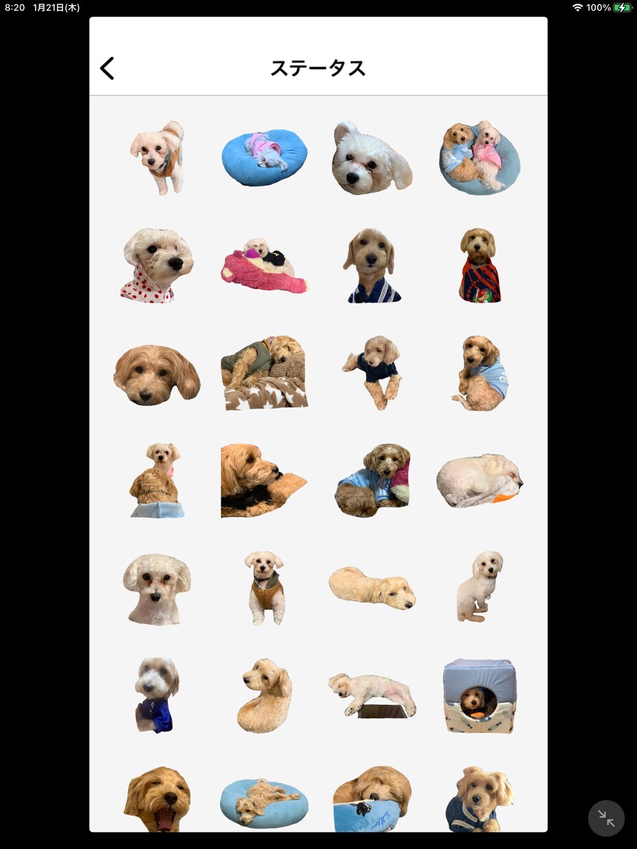 3000円で最大24こまでLINEスタンプ作ります 手書きや文字なしもできます！身内だけで使えるスタンプ！ イメージ1