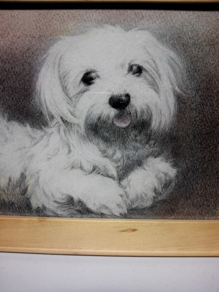 ペットの似顔絵を色鉛筆で描きます 大好きなペットとの思い出を色鉛筆画にしてみませんか？ イメージ9