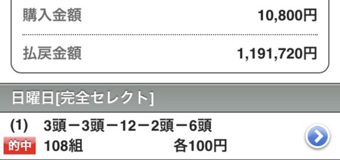 全レース指数上位5頭＋単複の参考買い目を提供します 年間プラス収支の期待値が高い指数で勝てる競馬をやりましょう イメージ1