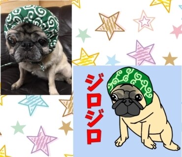 かわいいペットの似顔絵をLINEスタンプにします 鼻ぺちゃ犬が得意です（作成実績200枚以上！！） イメージ4