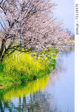 心のモヤモヤなど何でもお話や愚痴など聞きます とりあえず聞いて欲しい、わかって欲しいなど全て受け止めます。 イメージ12