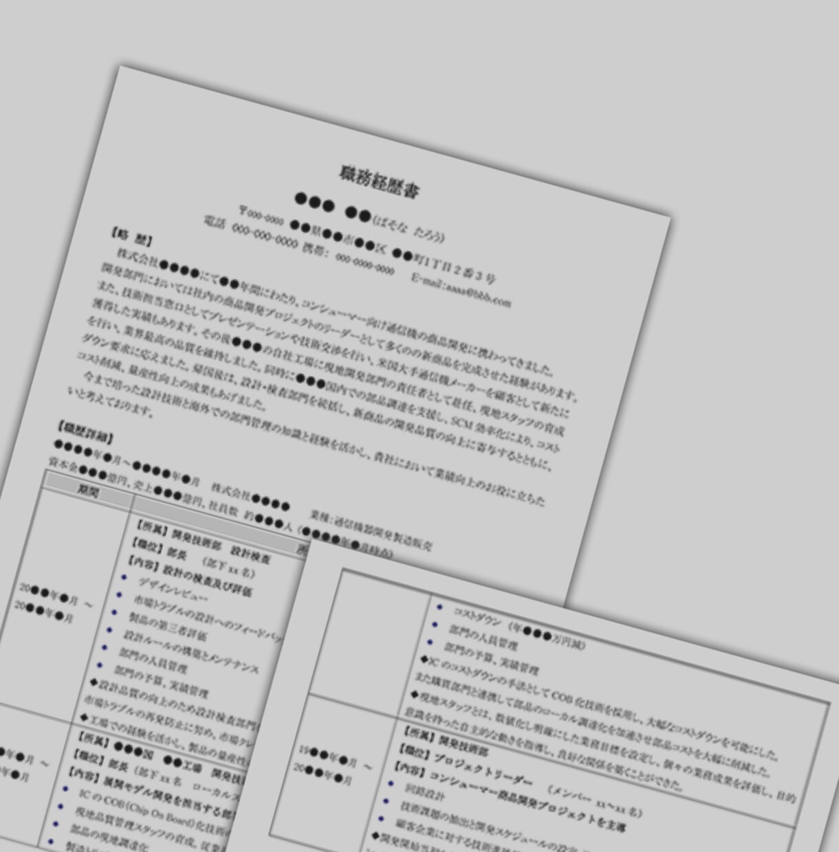 職務経歴書の添削をします 営業職で職務経歴書が全く書けないない方！【限定価格３名様】 イメージ6
