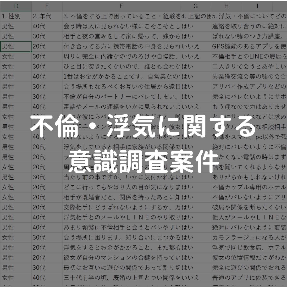 最安で市場調査・卒論webアンケート収集代行します ココナラ最安/アンケート/卒業論文/新規事業/ブログ/補助金 イメージ5