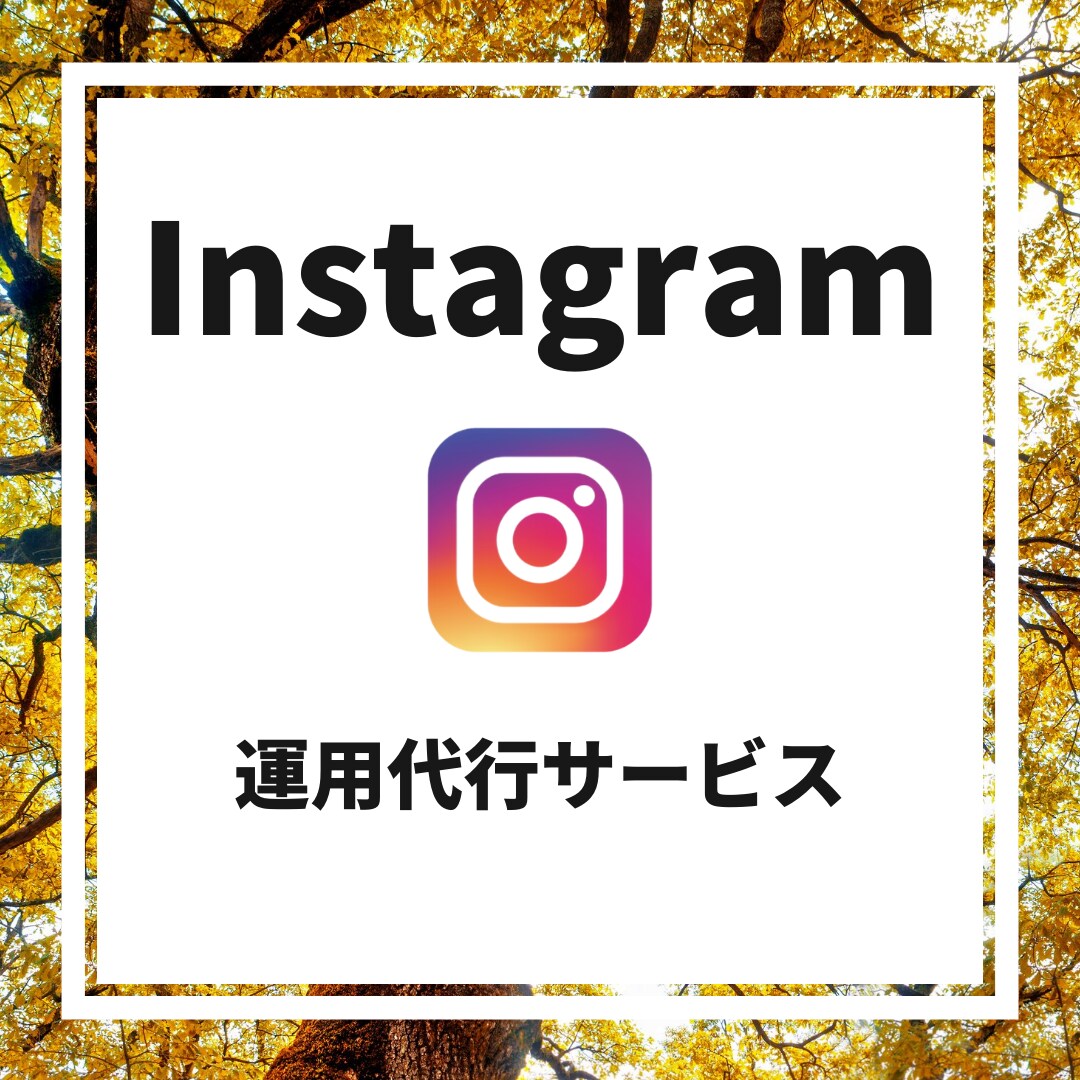 限定【初月価格】SNSの運用代行致します Instagram・Twitterの運用となります イメージ1