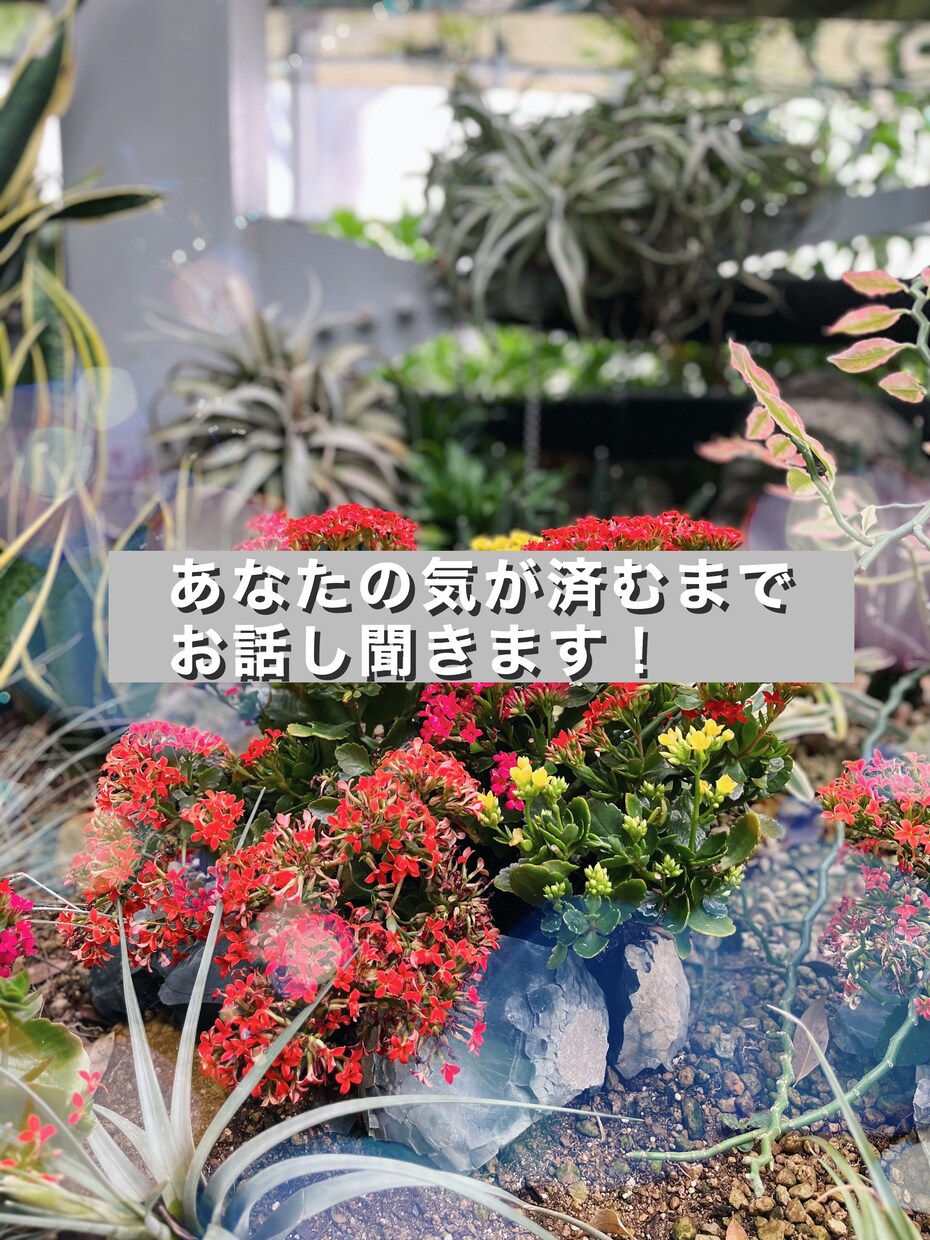 どんなお話もあなたの気が済むまでお聞きします 愚痴や恋愛なんでもお話ください♡ イメージ1