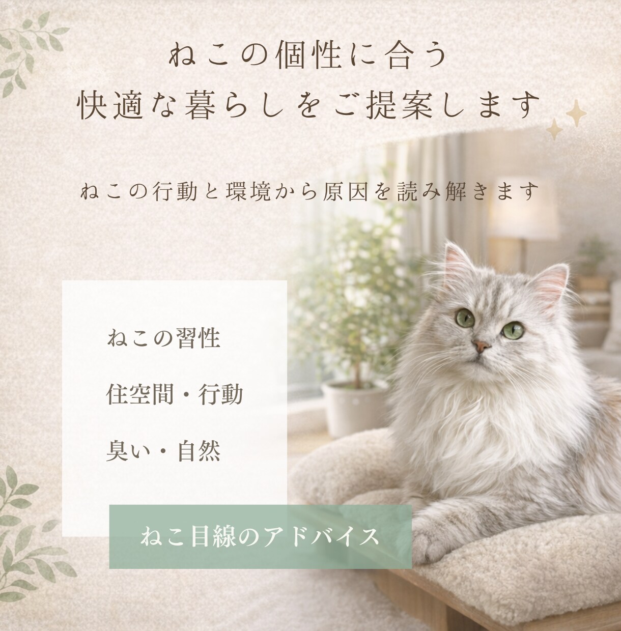 猫の個性に合う快適な暮らし提案します 猫の行動と環境から原因を読み解きます イメージ1