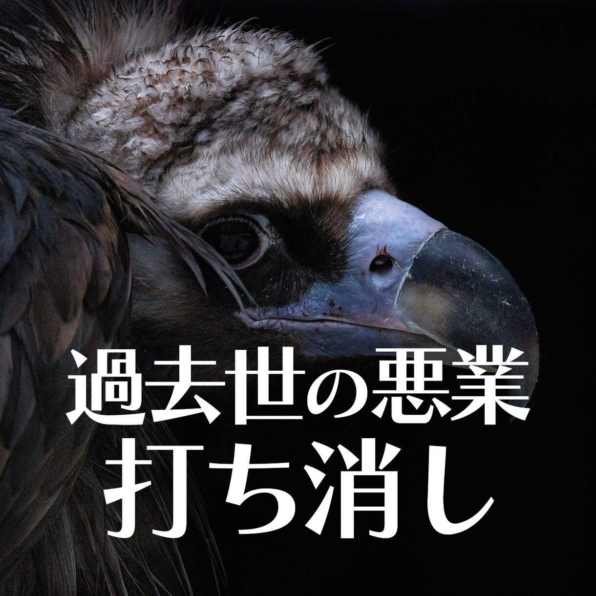 過去世の悪業を打ち消し、今世と来世に変化を促します 今世だけでなく、来世にも繋がる幸福を イメージ1