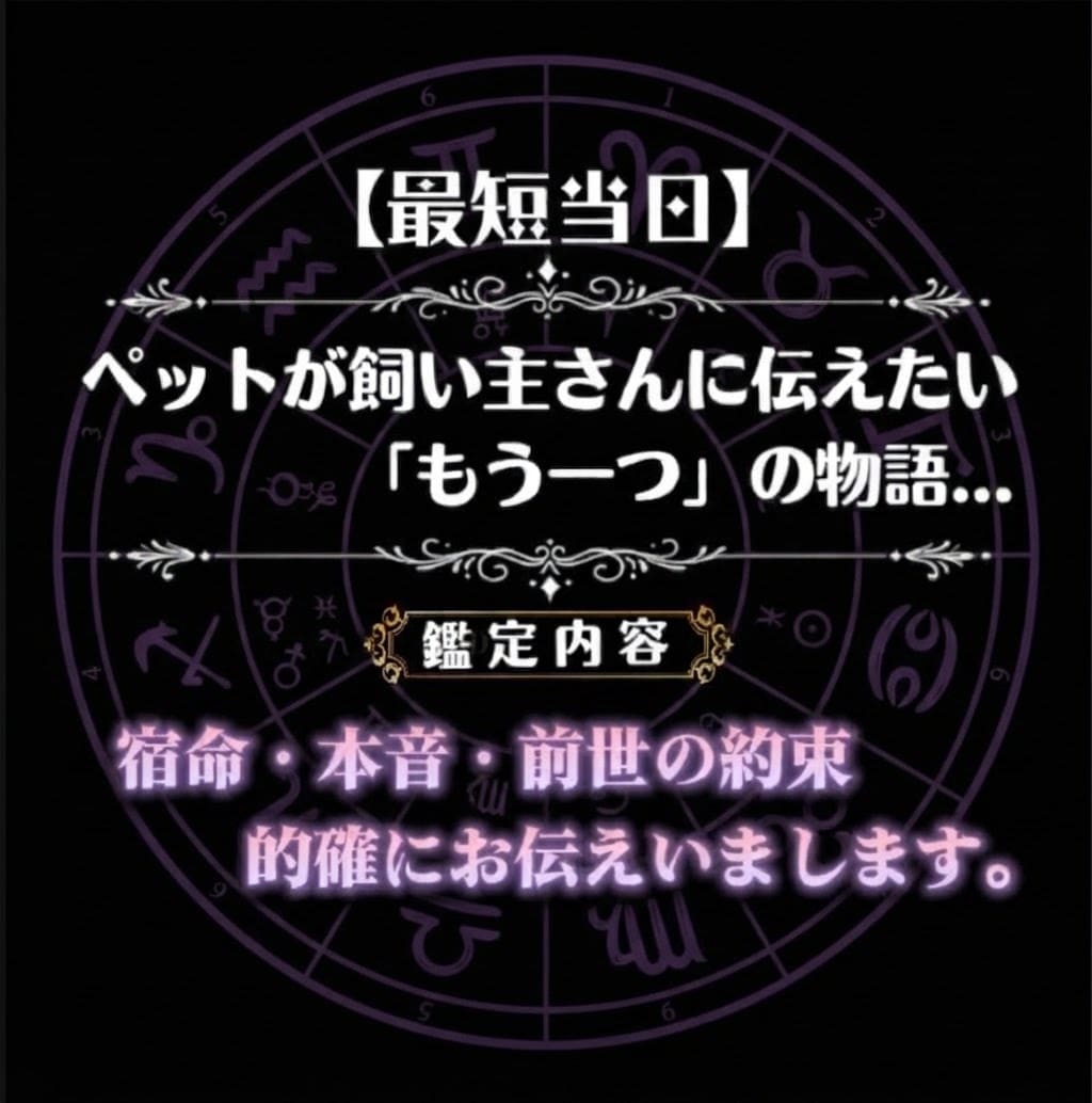 ホロスコープでペットの本音・宿命・前世を鑑定します 本音・生まれ持った性質・あなたと出会った意味まで読み解きます イメージ1