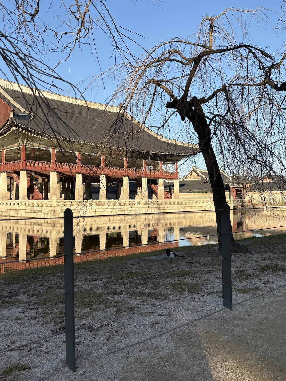 日常会話、プレゼンなど韓国語日本語翻訳します ネイティブ表現でSNSや日常会話翻訳対応できます！ イメージ1