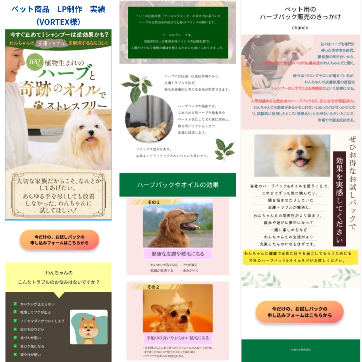 WordPressで女性向けなお洒落なLP作ります 女性デザイナーがヒアリングからデザインまで丁寧にご対応します イメージ3