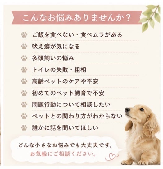 愛犬・愛猫のお悩み相談お聞きします 一人で悩まず、お気軽にご相談ください イメージ2