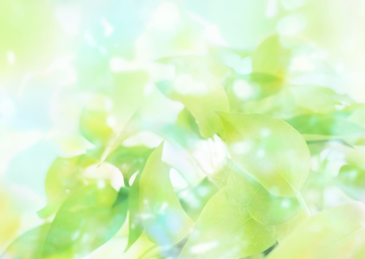 魂から人生を鑑定します 生きづらいと感じた時、魂の声に耳を傾けてみましょう イメージ1