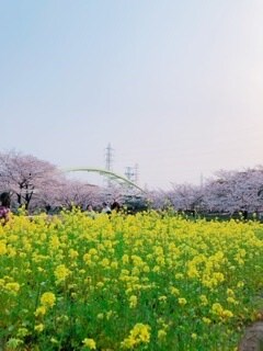 会社の保健室の先生になりたい!夢を応援します 将来産業保健師への就職を希望してる方向け/リアルを教えます! イメージ1