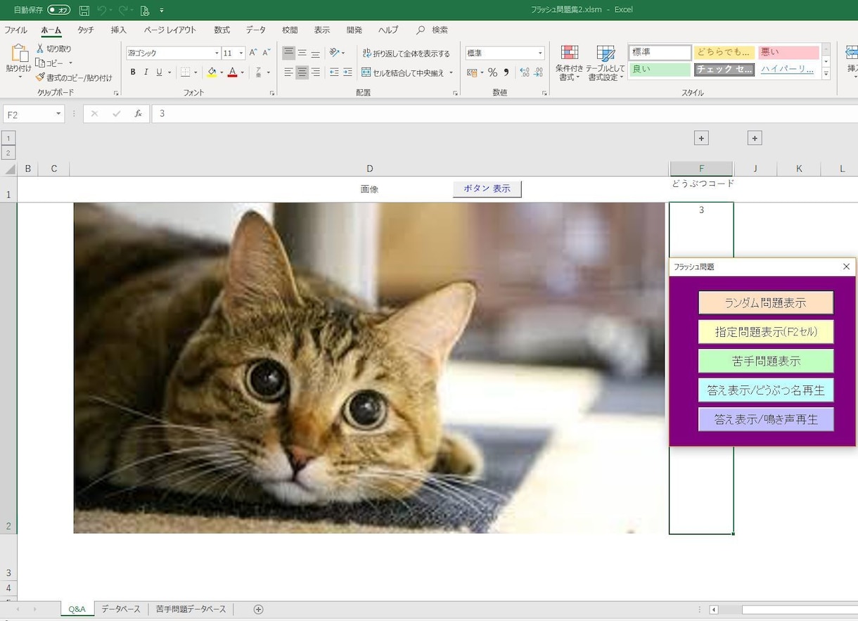 エクセルでフラッシュ問題集できます (画像と答えを自由に変更でき、字幕と音声による回答をします） イメージ1