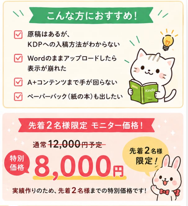 Kindle出版の入稿・A+設定を代行します 20冊出版の経験で｜審査の落とし穴ごと代行 イメージ2