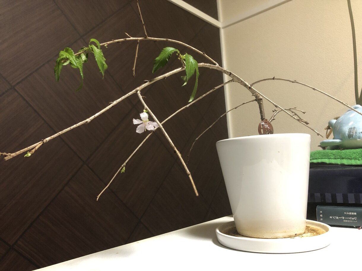 誰にも話せない悩み聞きます 【秘密厳守】1分からでも大丈夫です。 イメージ2