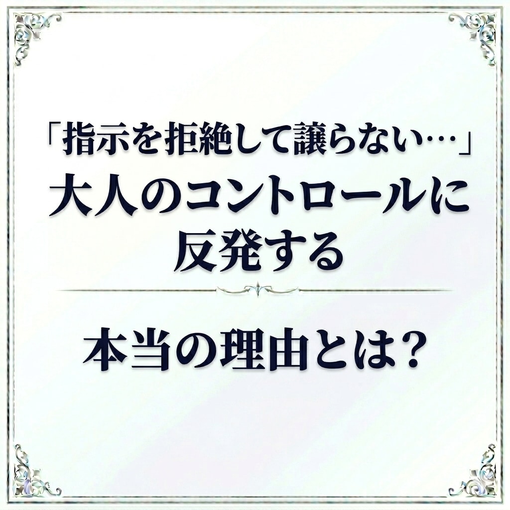 ADHDの反抗と誤解される脳の特性と対策を教えます 指示を拒絶するADHDの子に。家庭でできる環境調整法 イメージ4