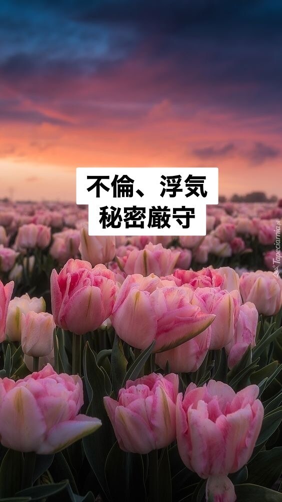 不倫・浮気の話聞きます 心が引き裂かれそうな時、関西弁でお姉さんが包んであげる。 イメージ3