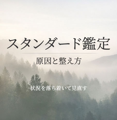 今の状況と気持ちを整理します スタンダード鑑定｜状況と感情を整理し判断を整える イメージ1