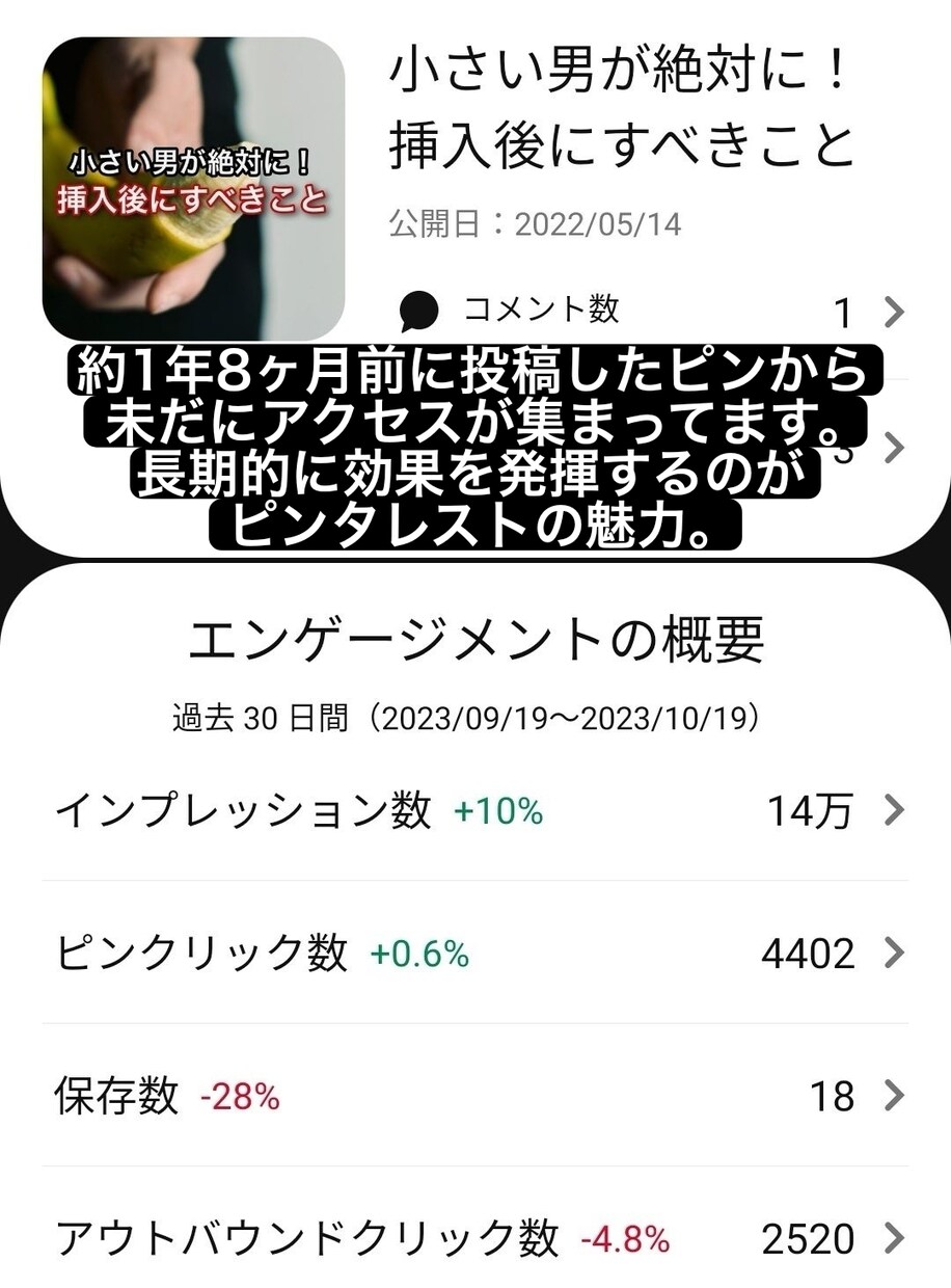 あなたのコンテンツを50万人に向けて拡散します ビジュアルマーケティングの未来！ピンタレスト拡散で認知度UP イメージ7