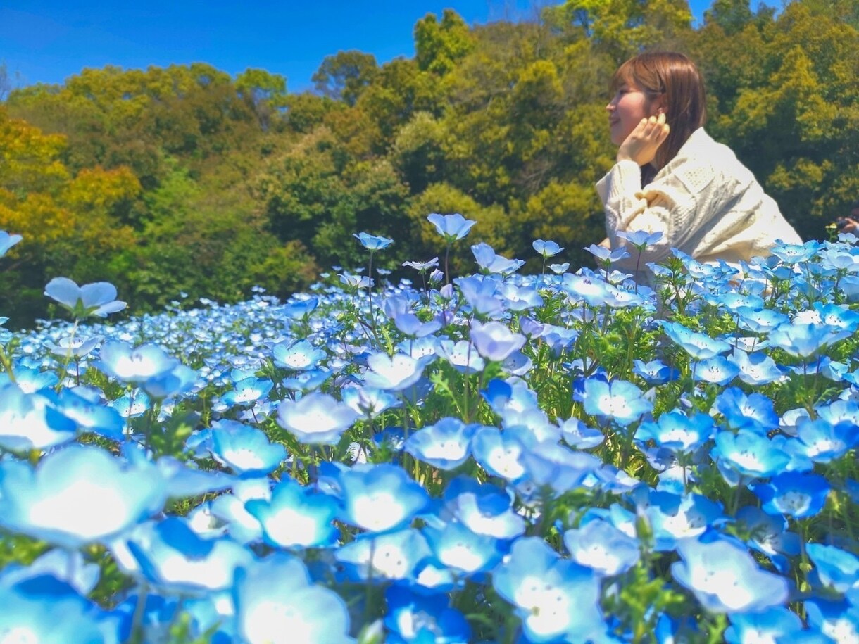 27歳の視点であなたのお話、なんでもききます 何となく聞いてほしいことでもお気軽にお電話ください♪ イメージ1