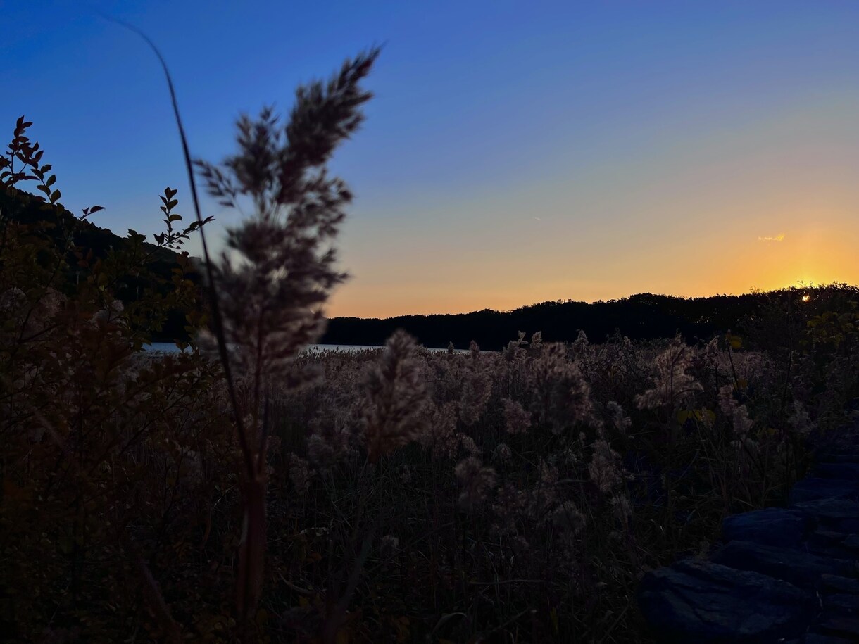 風景の写真を提供します 空・建物・花などなど風景メインで提供します！ イメージ2