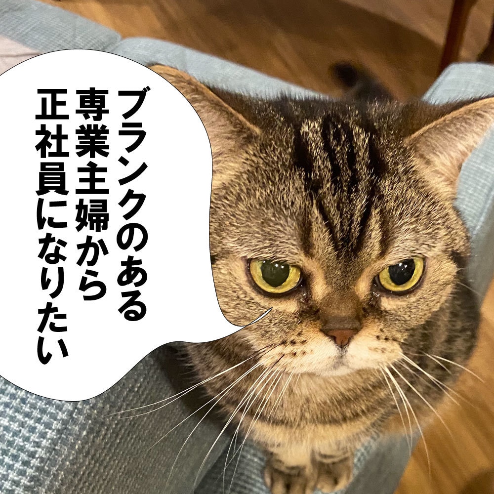 ブランクのある主婦から正社員になるお手伝いします ブランク主婦から正社員へ!夢を叶えるキャリアプラン作成 イメージ1
