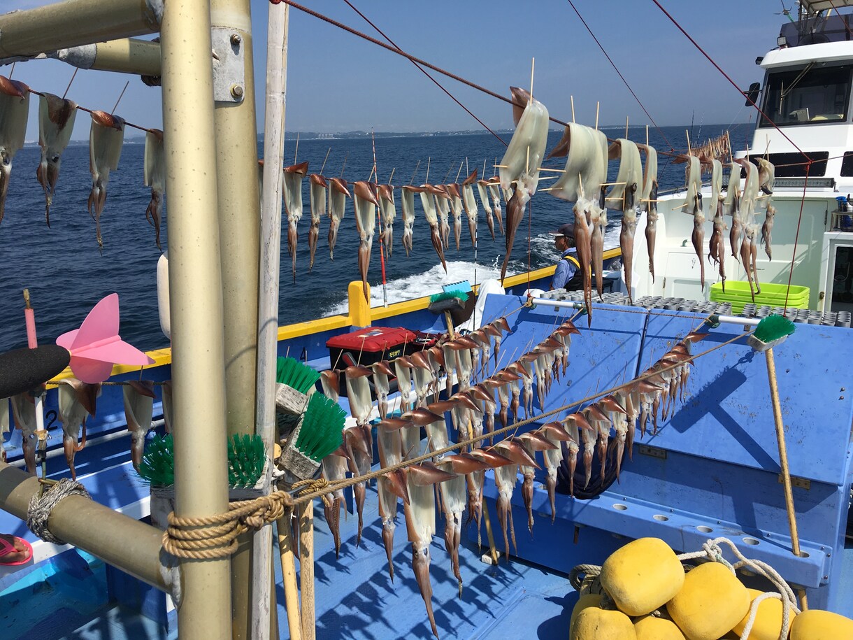 釣船での釣りを教えます 釣船で釣り体験したい方きちんと船釣りを教えて欲しい方 イメージ3