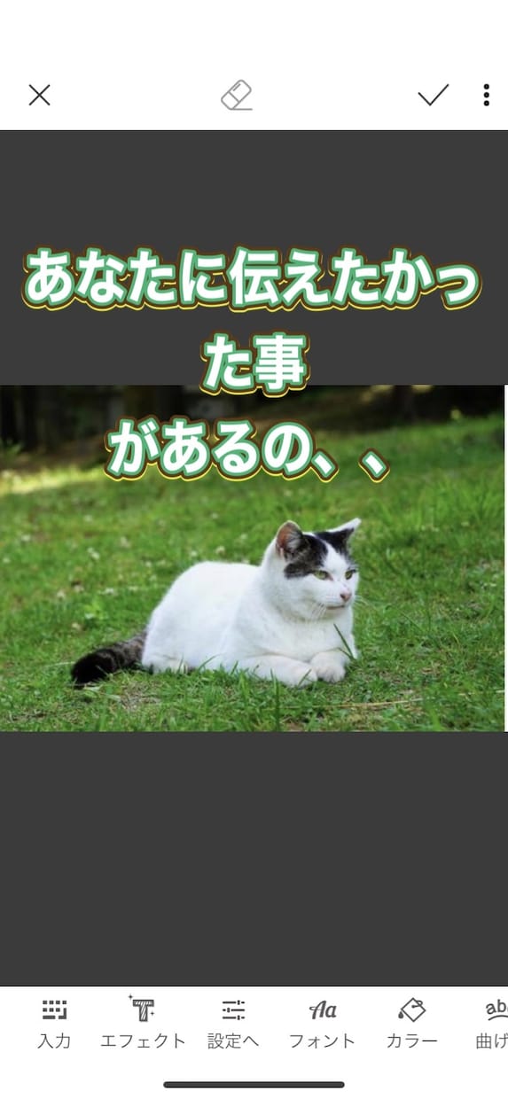 虹の橋からのペットの言葉教えます 家族だった大切なペット、虹の橋からのメッセージです！ イメージ7