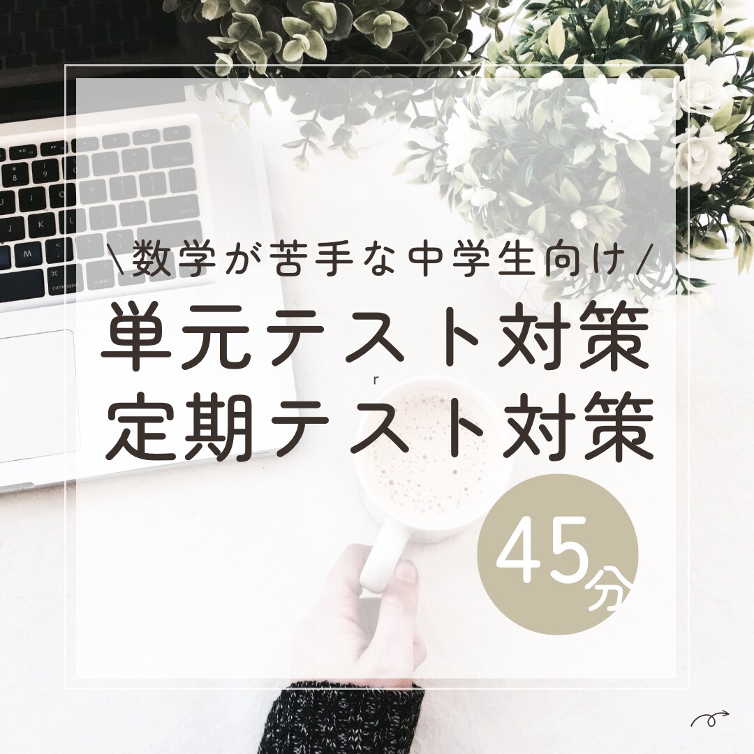 中学数学/45分/女性講師が優しく教えます 【数学が苦手な方向け】オンライン授業初心者の為特別価格！ イメージ1