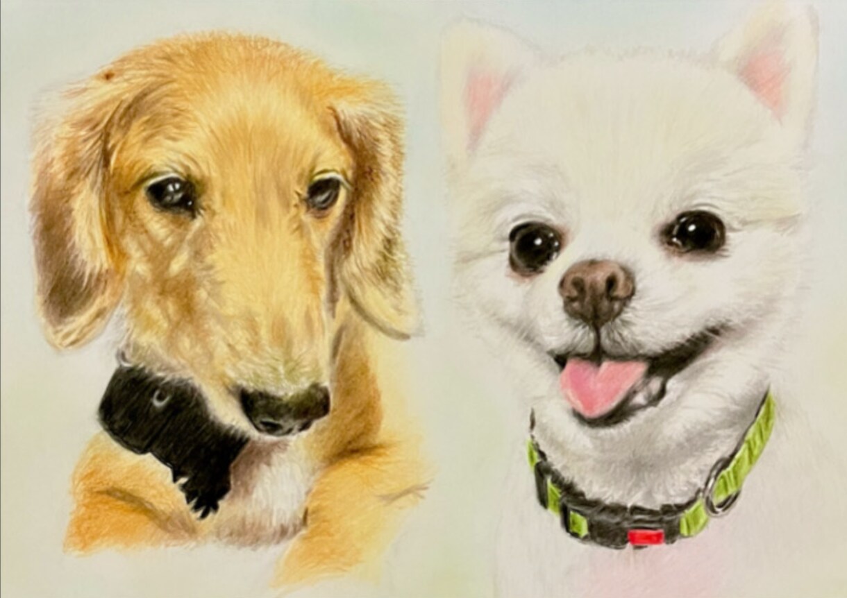 人物やペットなどリアルな色鉛筆画を描きます 色鉛筆の良さを活かして画像より綺麗でかわいい仕上がりにします イメージ8