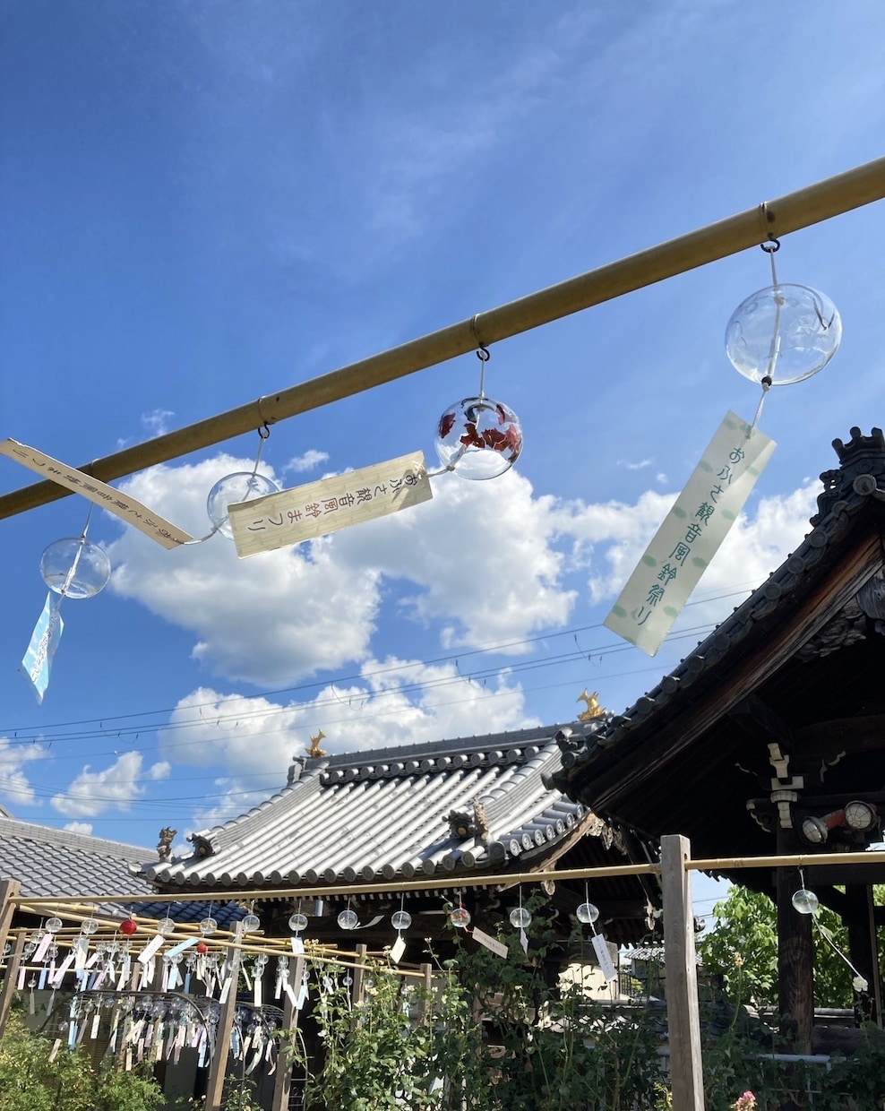 奈良旅行のプラン作成します 奈良公園と東大寺だけじゃもったいない。特別な「なら旅」の提案 イメージ3