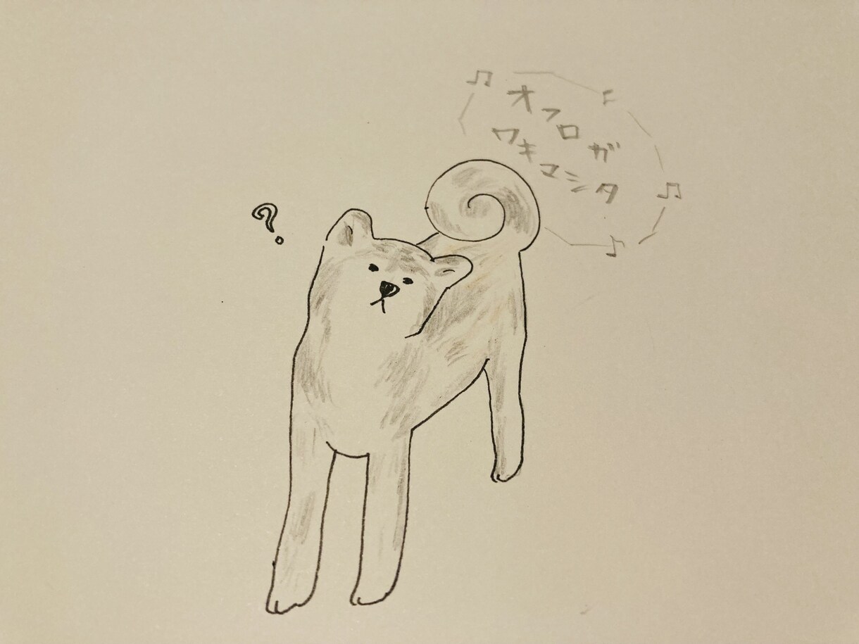 ほんわか、かわいいイラスト描きます 犬をはじめ動物など、色鉛筆で手描きで仕上げます。 イメージ4