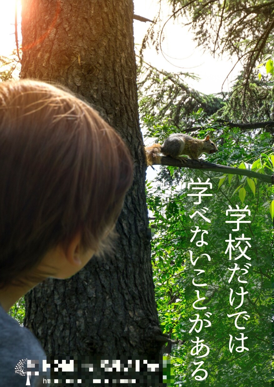心を掴むフライヤー・チラシ作成します 女性チームによるフライヤー作成★心を掴むフライヤー★ イメージ6