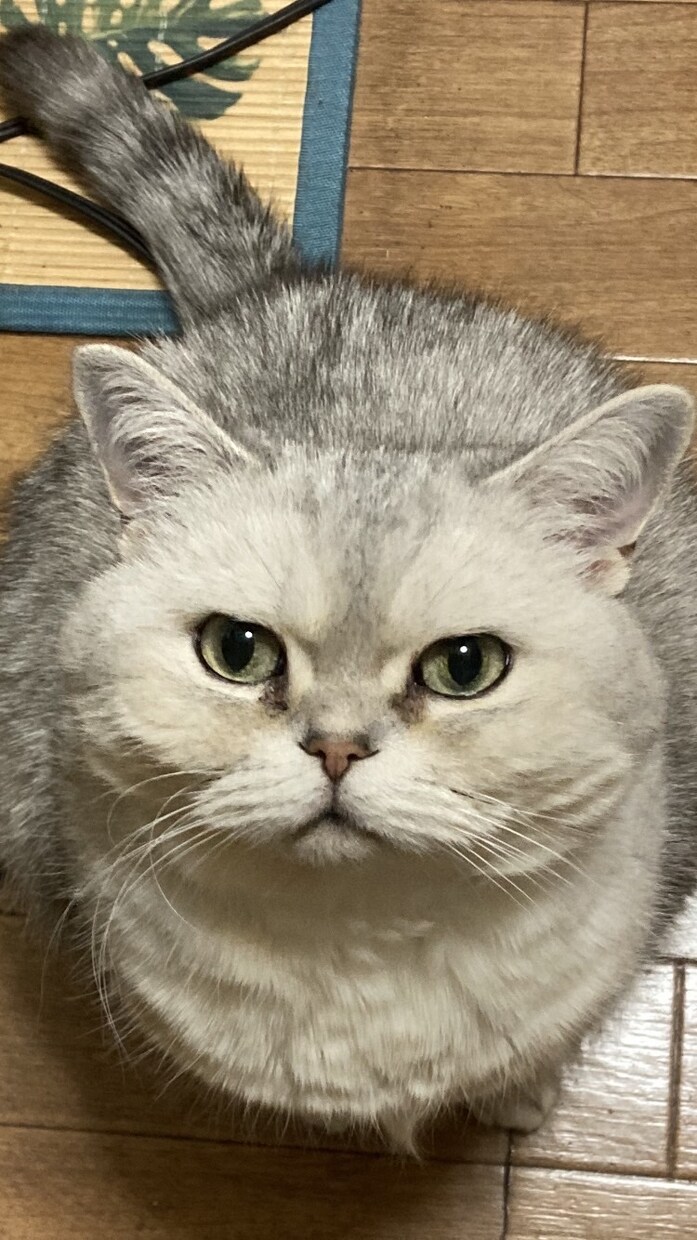 あなたの話し相手をさせていただきます ☆女性限定☆内容はなんでもかまいません。話し相手にどうぞ イメージ1