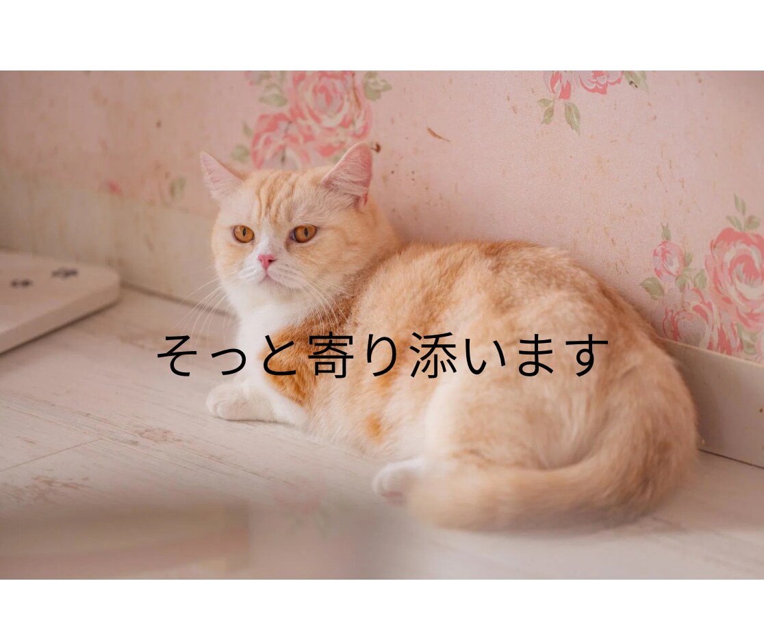 タロット占い✨️質問10個・24時間以内鑑定します 恋愛・仕事・金運・人間関係を鑑定✨ イメージ5