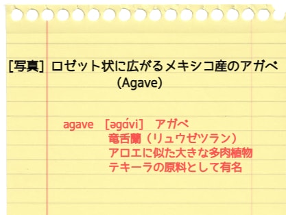 YouTubeを活用した英語学習教材☘️作ります 実践的な英語力を身につけたい方に最適です♪ イメージ3