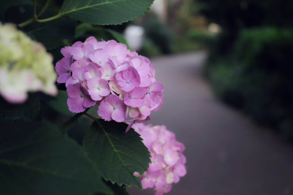 写真、画像レタッチ代行します 一眼からiPhoneまで、ビジネス、SNSアイコンなど イメージ2