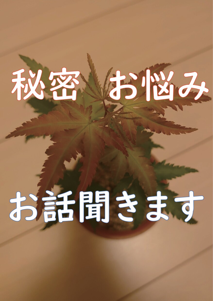 誰にも話せないお話㊙️秘密厳守でお聞きします どんなお話でもどうぞ！遠慮せず思いっきり話してください イメージ1