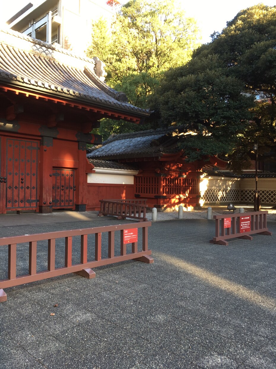 東大、京大受験される方に雑学をアドバイスします 高校、予備校では、教えてくれないことをアドバイスします。 イメージ2