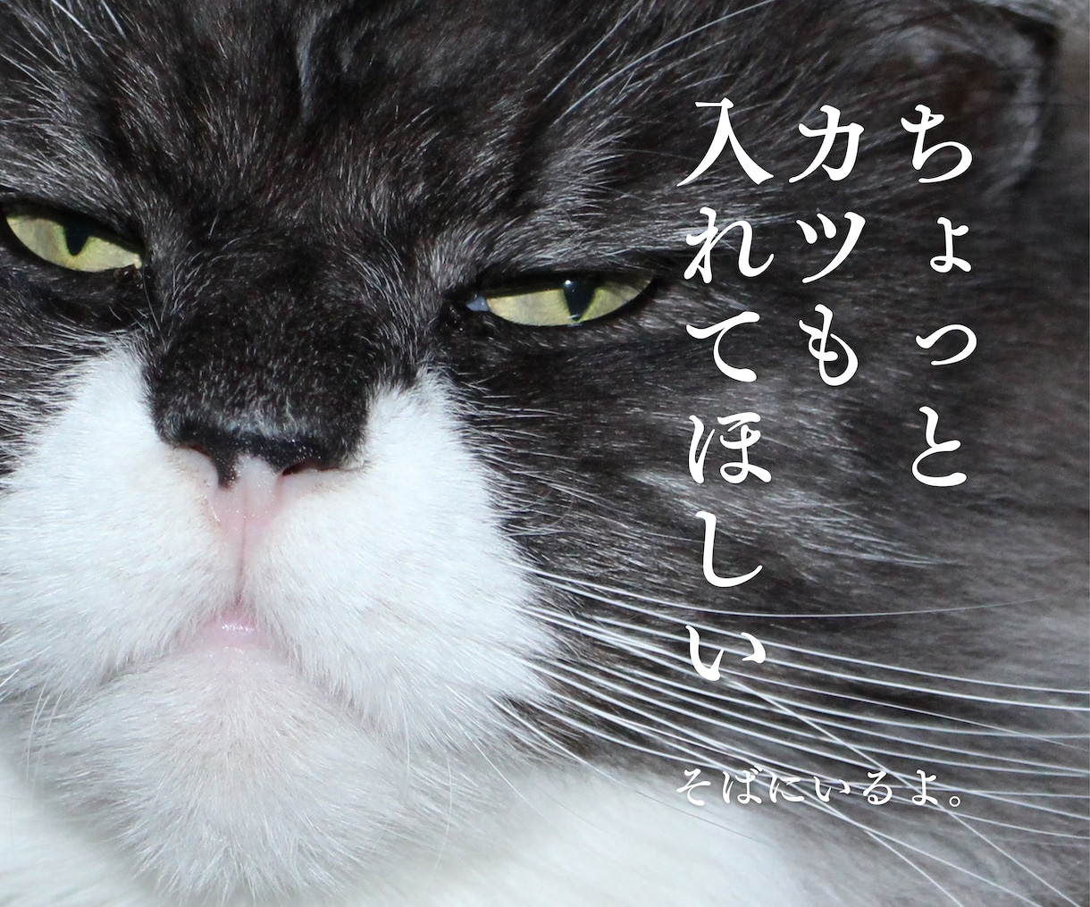 そばにいるよ♡ 話したいに 寄添います 心のホコリやチリを吐き出すことを日常に♡ イメージ10